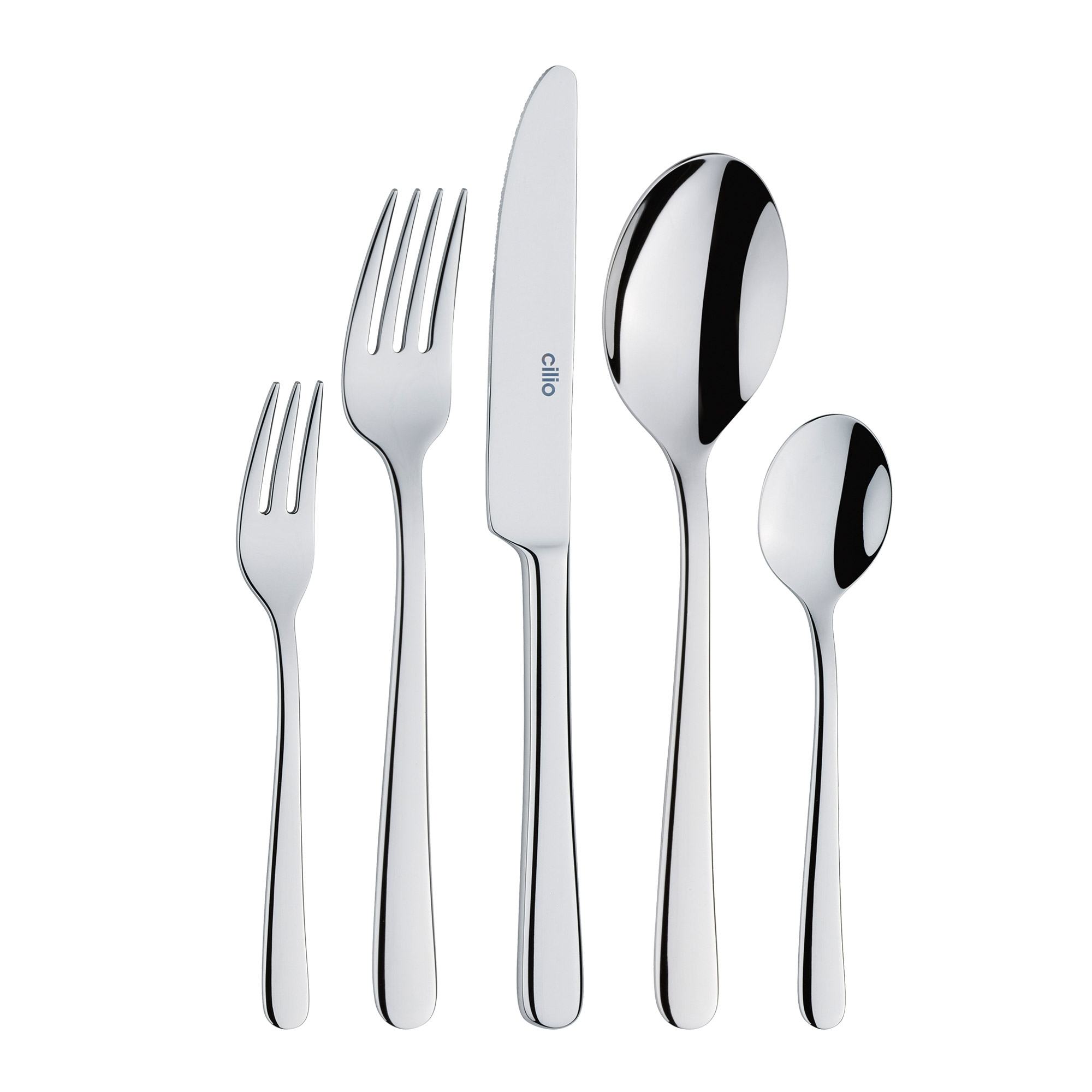 Elegant 5-piece stainless steel cutlery set