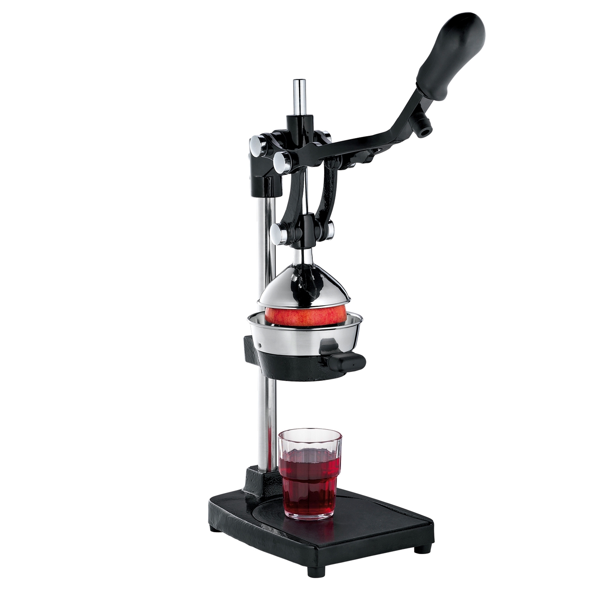 cilio - Pressstempel zu Profipresse Livorno und AMALFI cilio - Pressstempel zu Profipresse Livorno und AMALFI