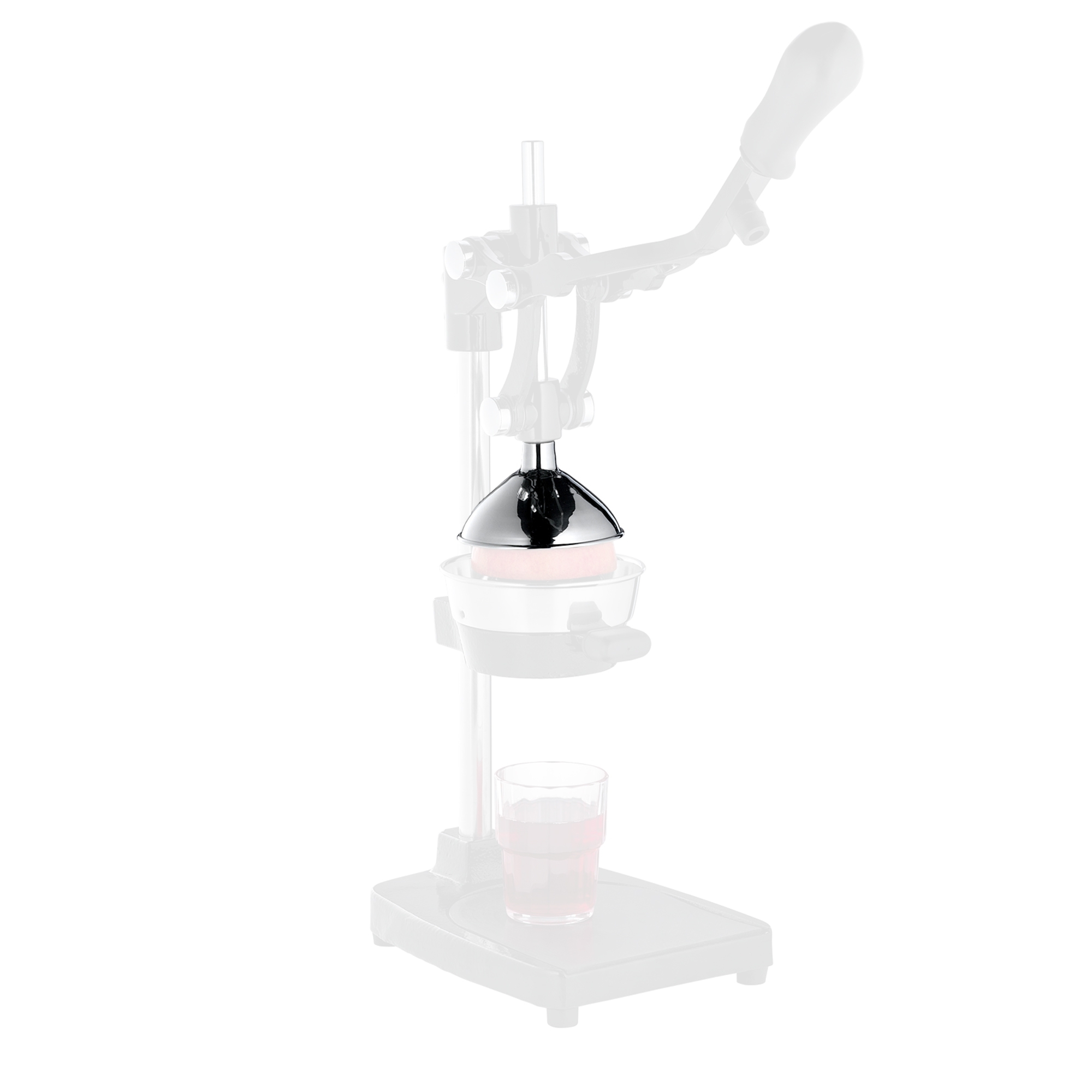 cilio - Pressstempel zu Profipresse Livorno und AMALFI cilio - Pressstempel zu Profipresse Livorno und AMALFI